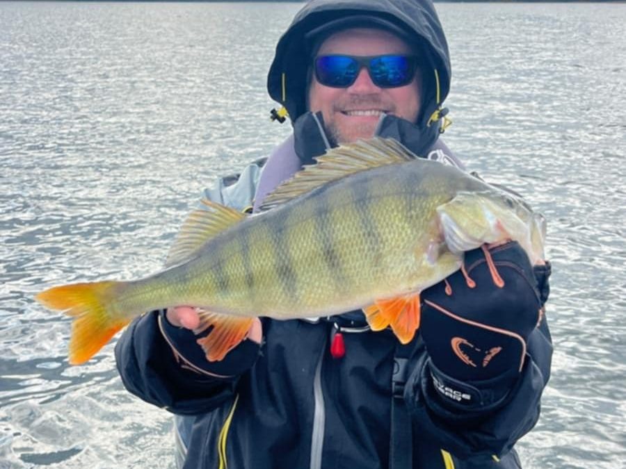 60963c62-2f35-4908-9164-a3e8a018fa1d